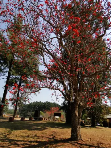 Sdafrika2012634.jpg