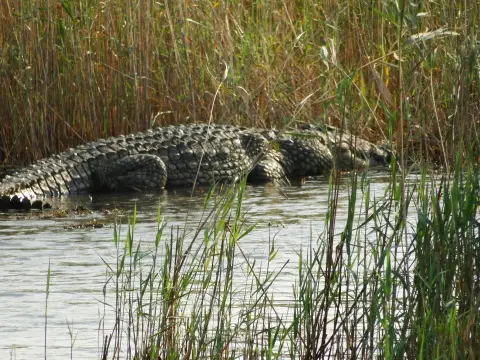 Sdafrika2012709.jpg