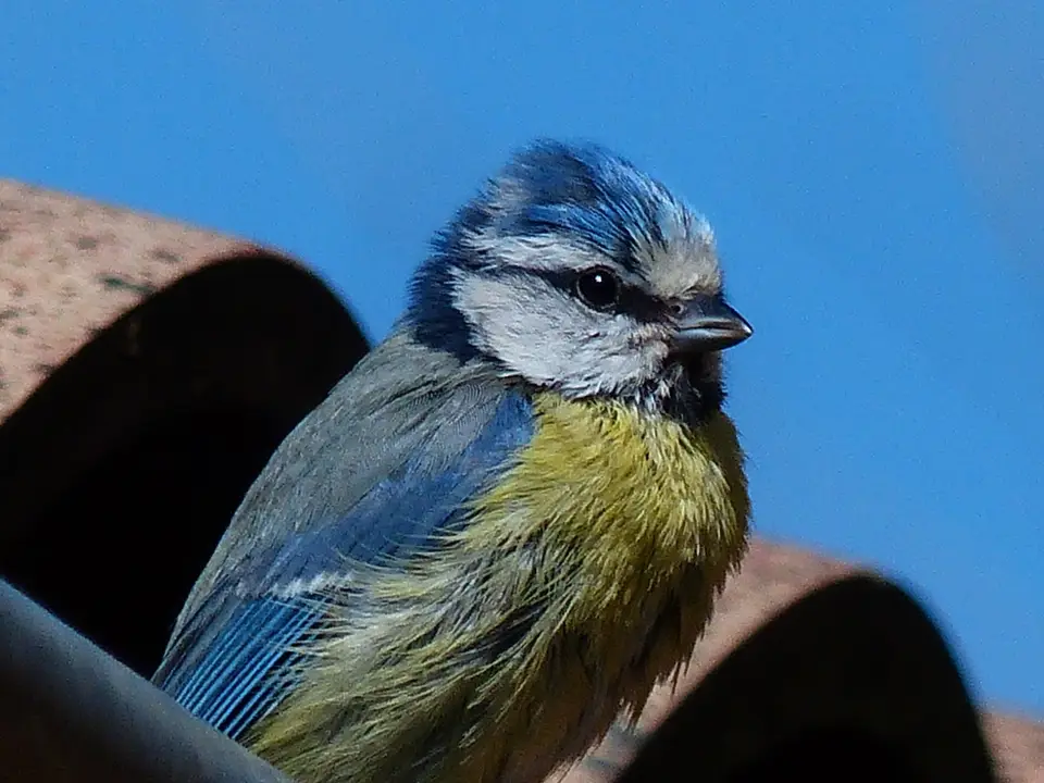h177cf56_2013-08-02.jpg