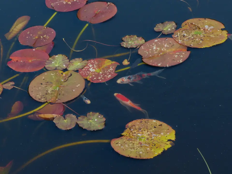 hd975aab_2013-08-02.jpg