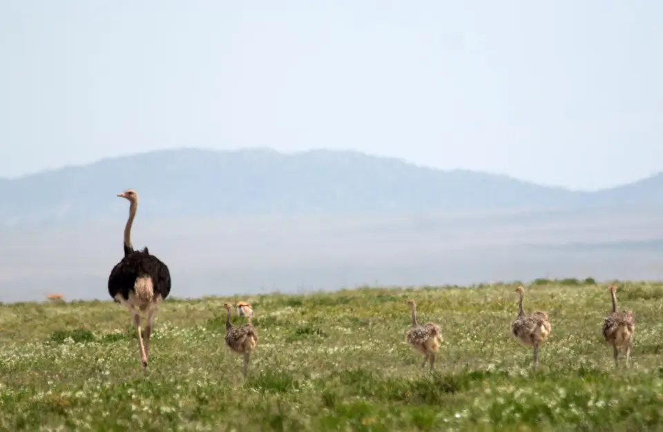 IMG_0987.jpg