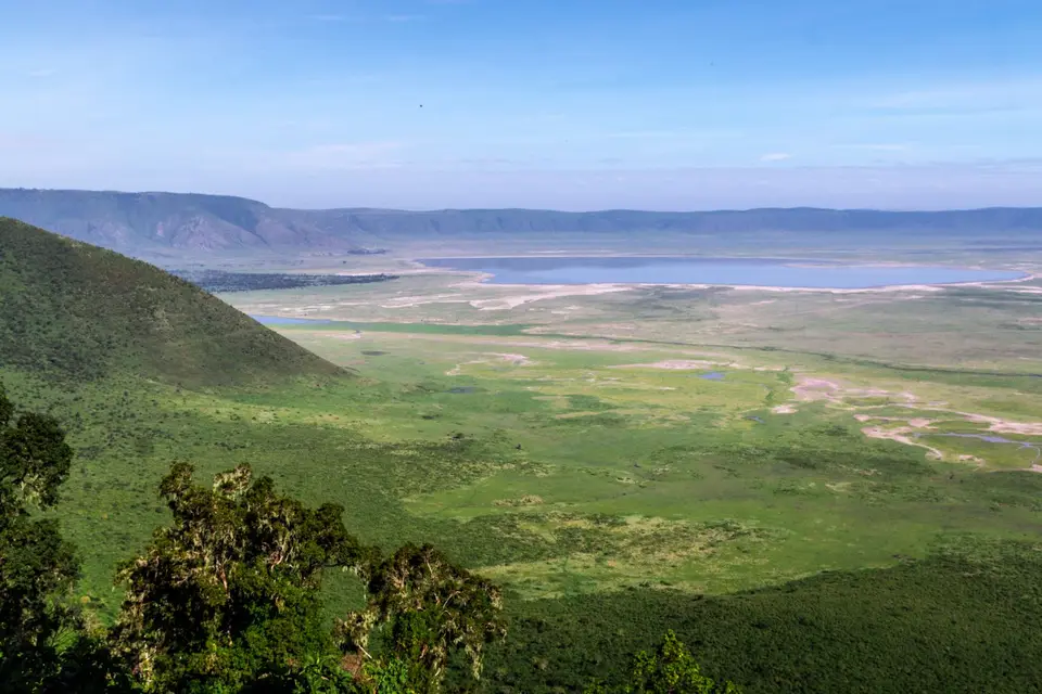 Nogorogoro2.jpg