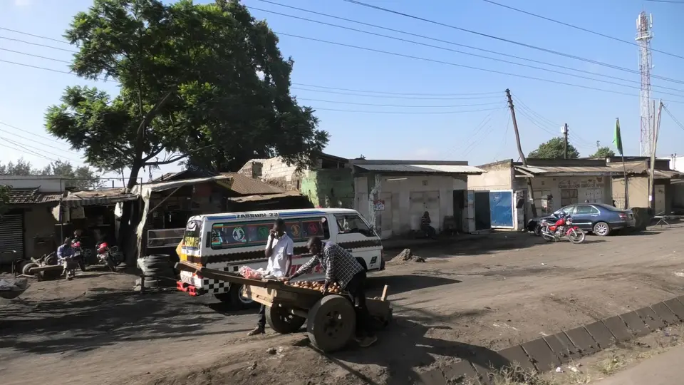 S1670011.JPG