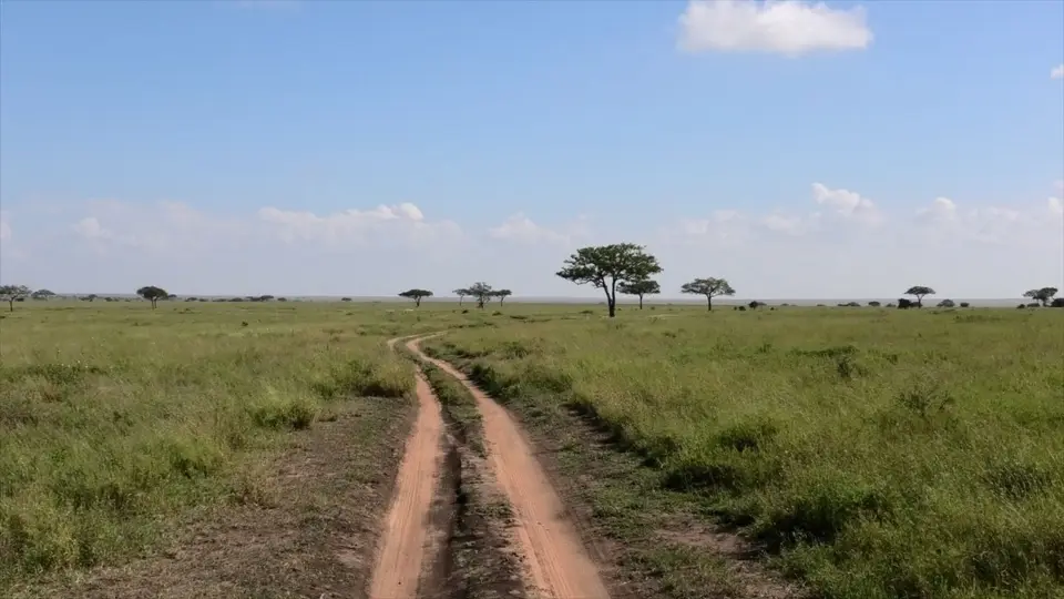 Serengeti2-2.jpg