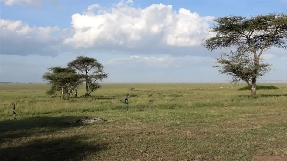 Serengeti4.jpg