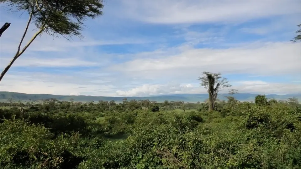 Serengeti7.jpg