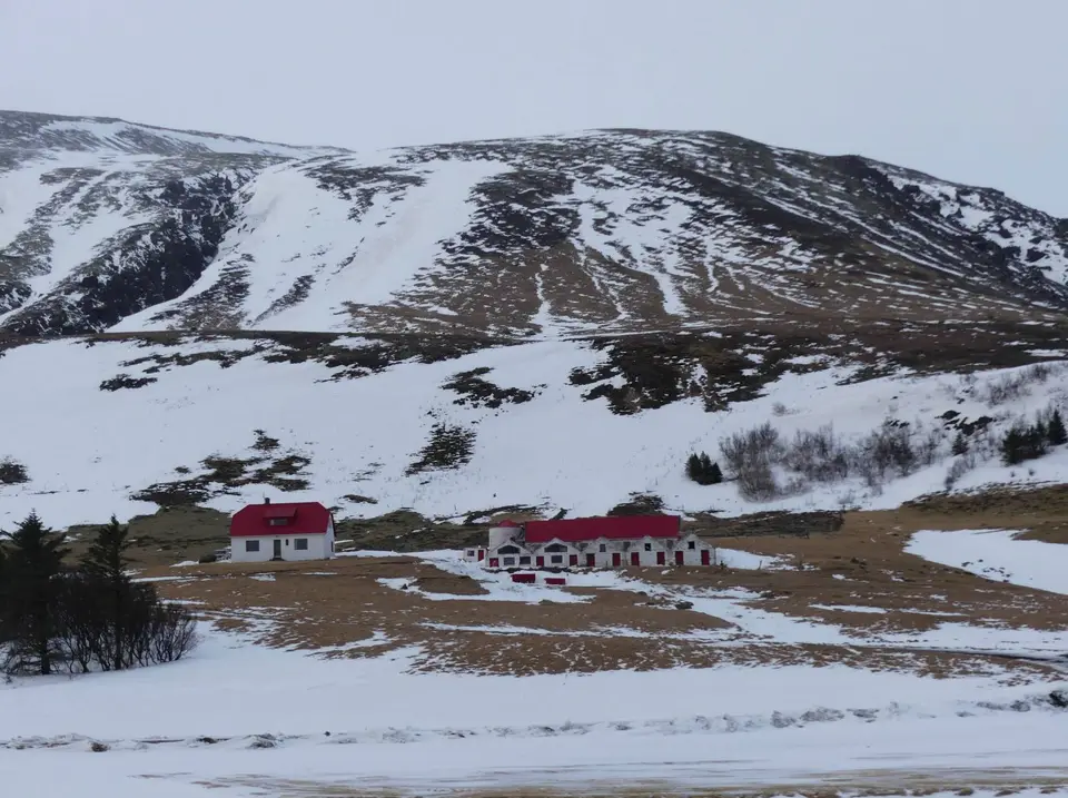 cP120.jpg