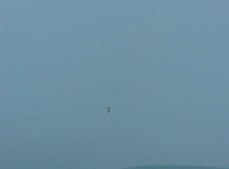 cP217.jpg