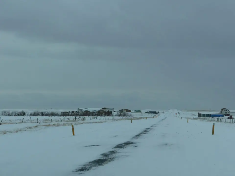 cP221.jpg