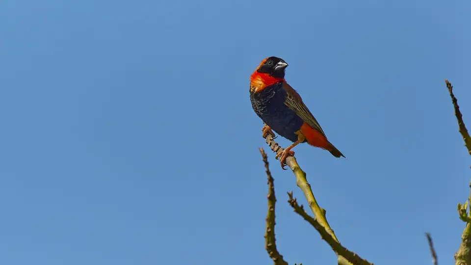 2023.11.06-081848_P1018570-top-.jpg