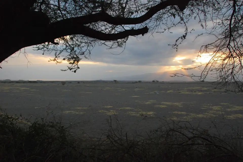 DSC111.JPG