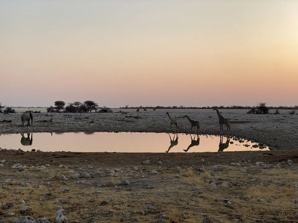 IMG_3075.JPG