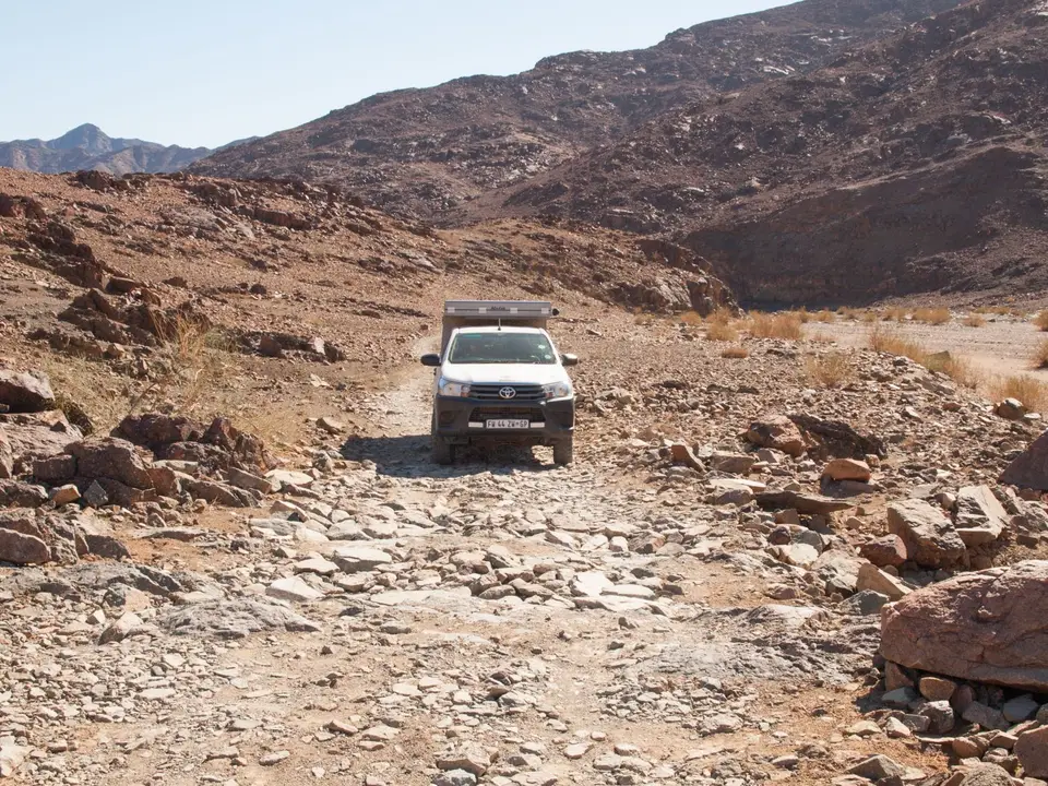 P2251643.jpg