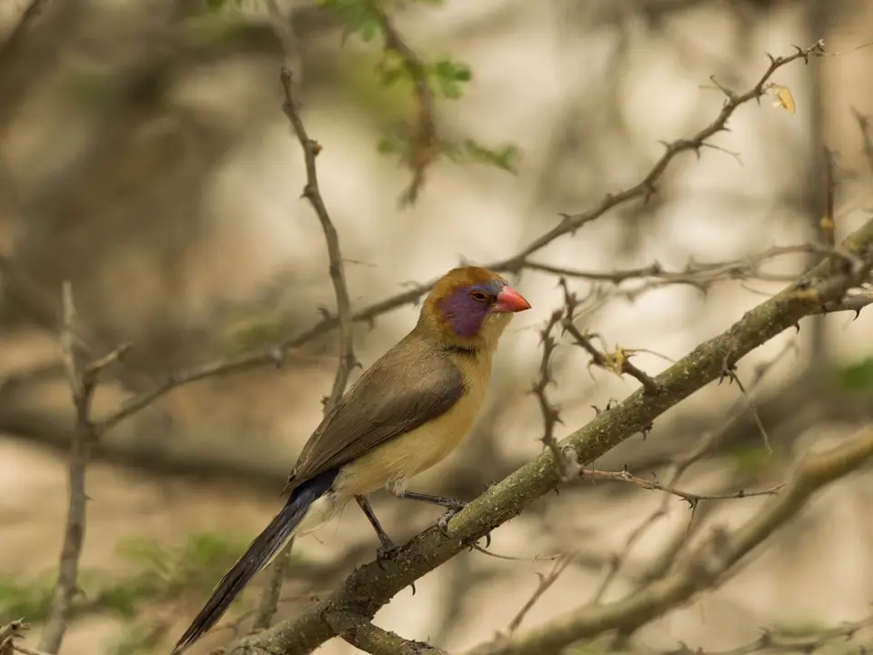 PB030242.jpg