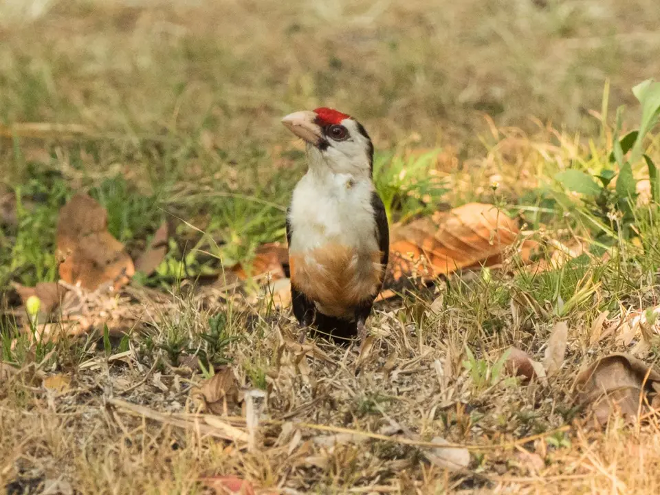 PB037259-391-2.jpg