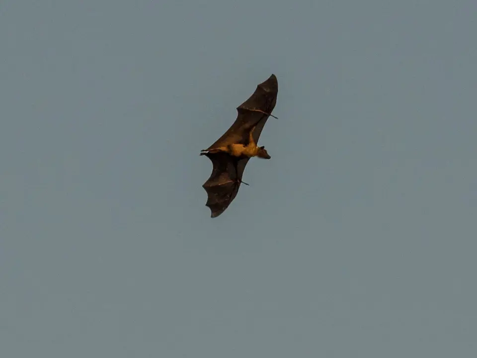 PB047661-428.jpg