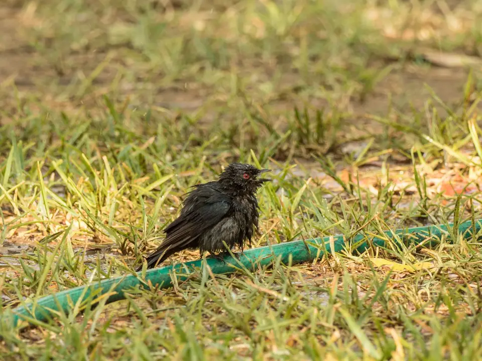 PB067847-448.jpg