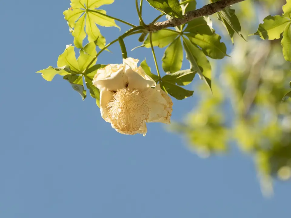 PB181489.jpg