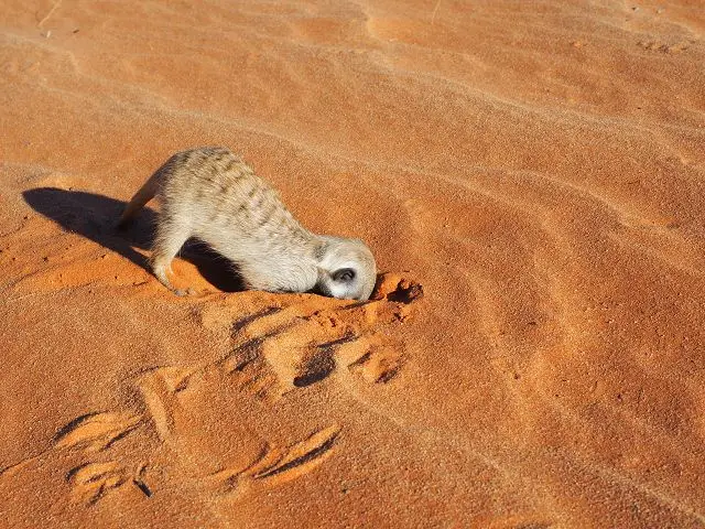 h611063c.JPG