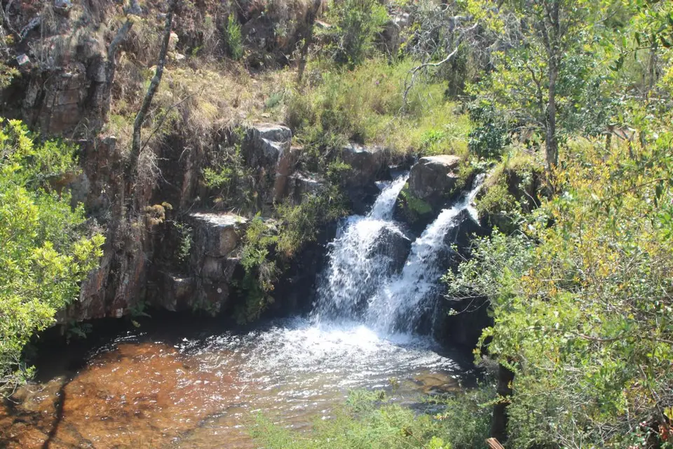 h0918842.JPG