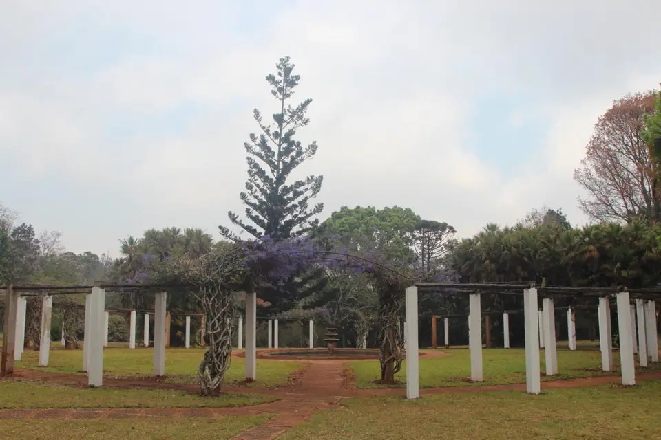 haf44460.JPG