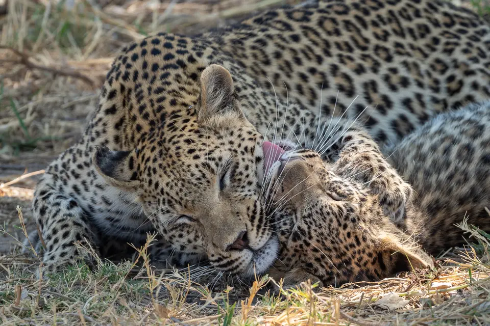Botswana2019_0216_PA199690.jpg