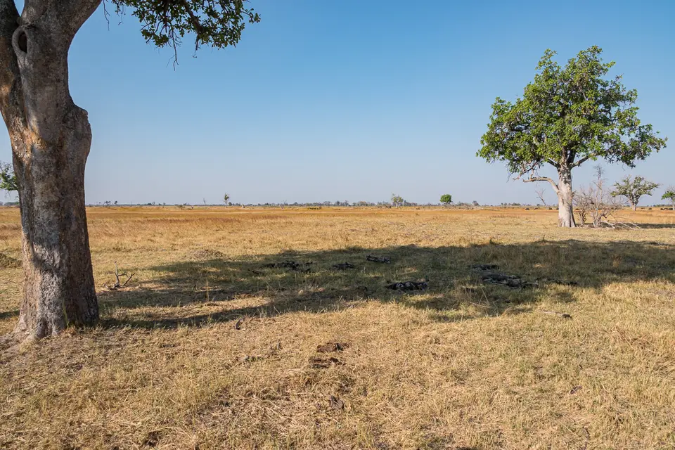 Botswana2019_0246_DSC02907.jpg