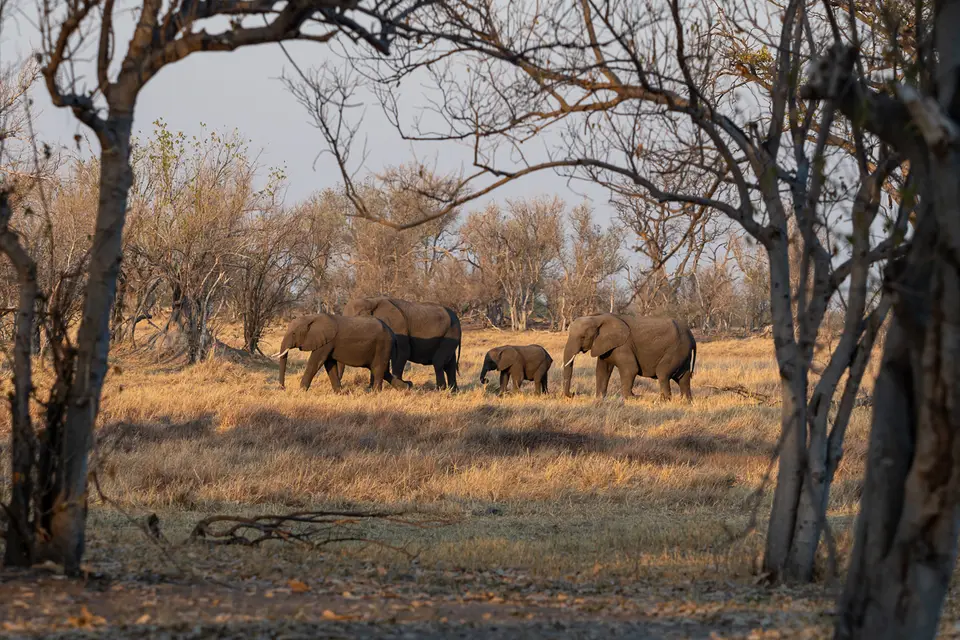 Botswana2019_0288_PB201550.jpg