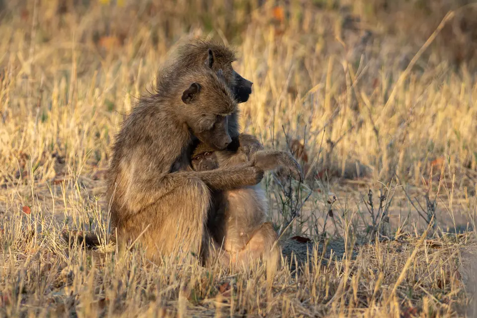 Botswana2019_0292_PA200445.jpg