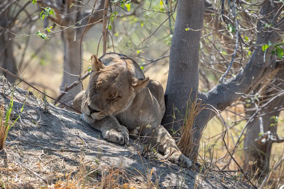 Botswana2019_0352_PB201844.jpg