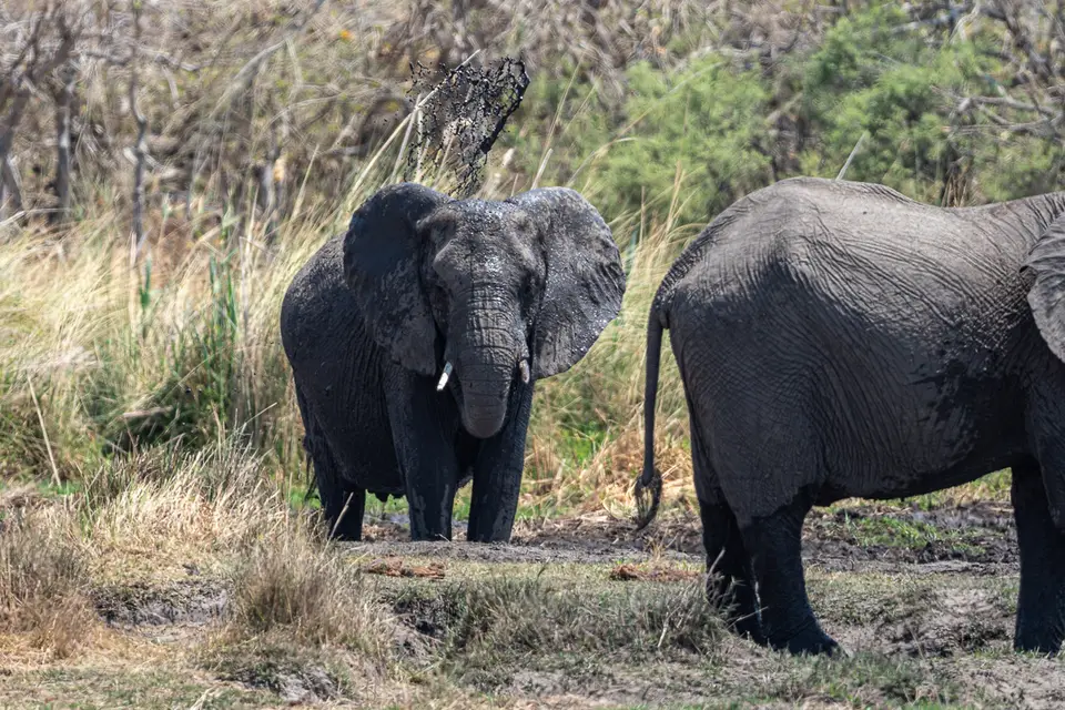 Botswana2019_0378_PA201035.jpg
