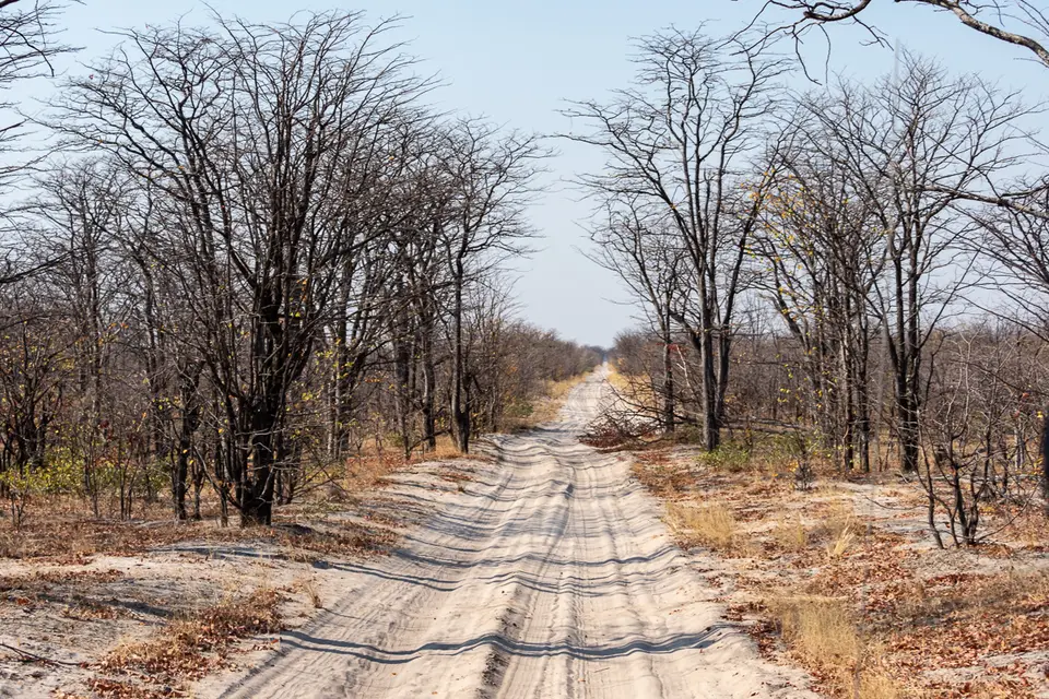 Botswana2019_0407_PB202034.jpg