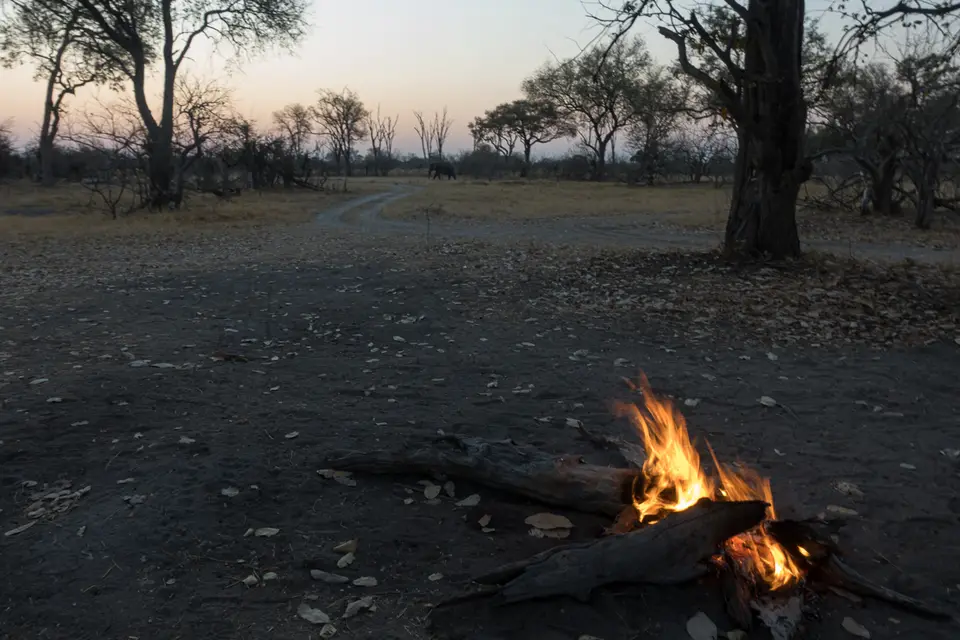 Botswana2019_0427_RX_00407.jpg