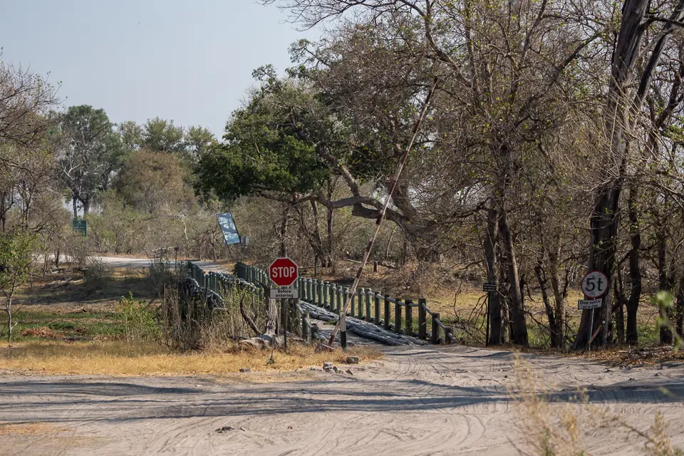Botswana2019_0633_PB222919.jpg