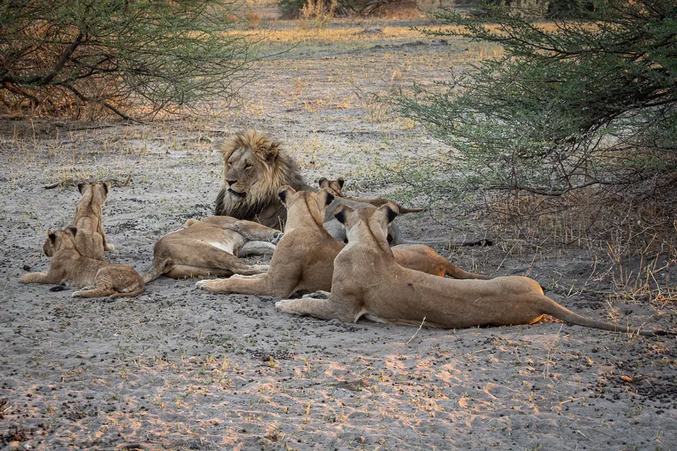 Botswana2019_0801_PB233449.jpg