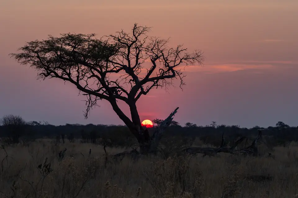 Botswana2019_0808_PB233523.jpg