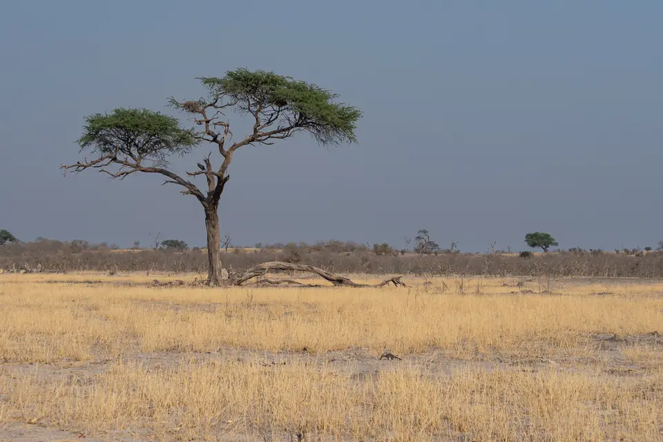 Botswana2019_0819_PB243558.jpg