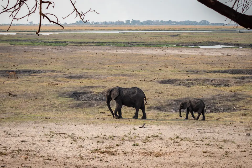 Botswana2019_0863_PB243933.jpg