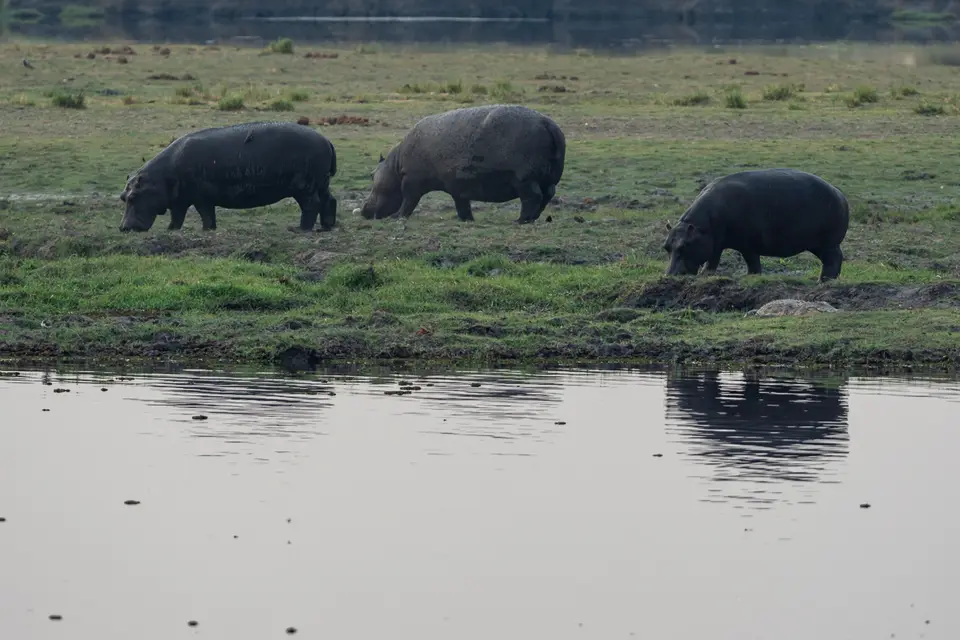 Botswana2019_0880_PA241408.jpg