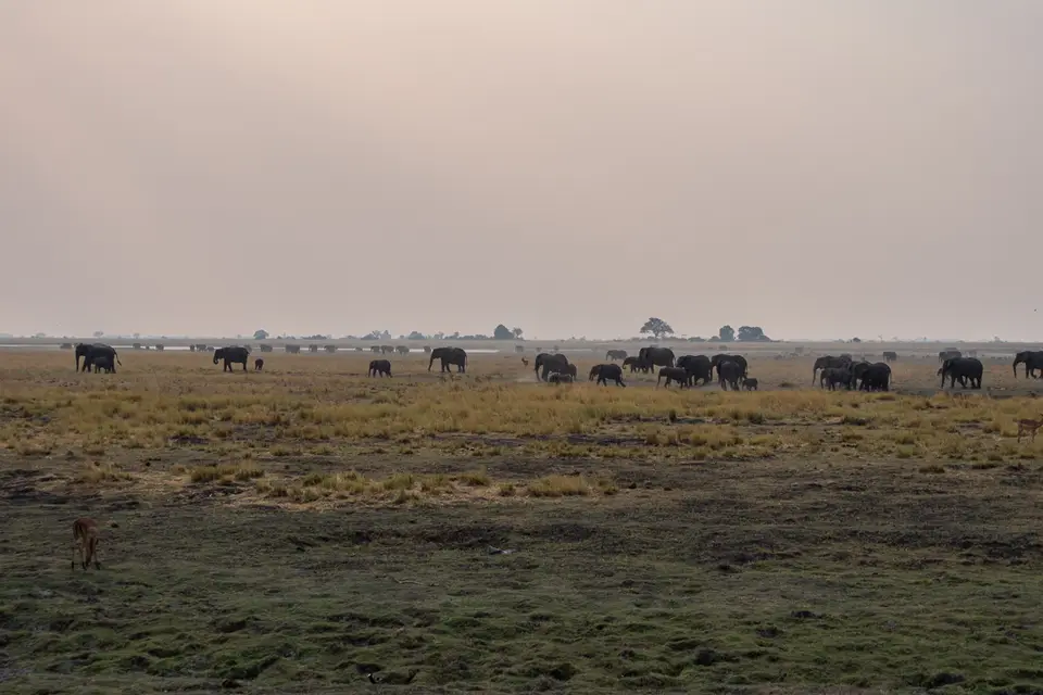 Botswana2019_0884_PB244032.jpg