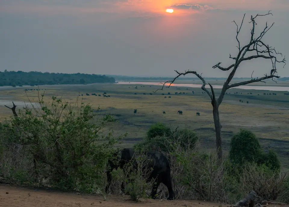 Botswana2019_0894_PB244089.jpg