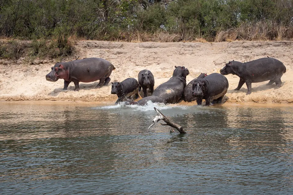 Botswana2019_0945_PB254254.jpg