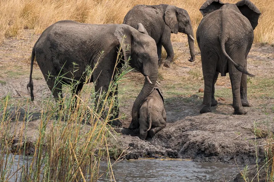 Botswana2019_0958_DSC05332.jpg