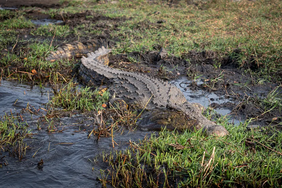 Botswana2019_0967_PB254535.jpg