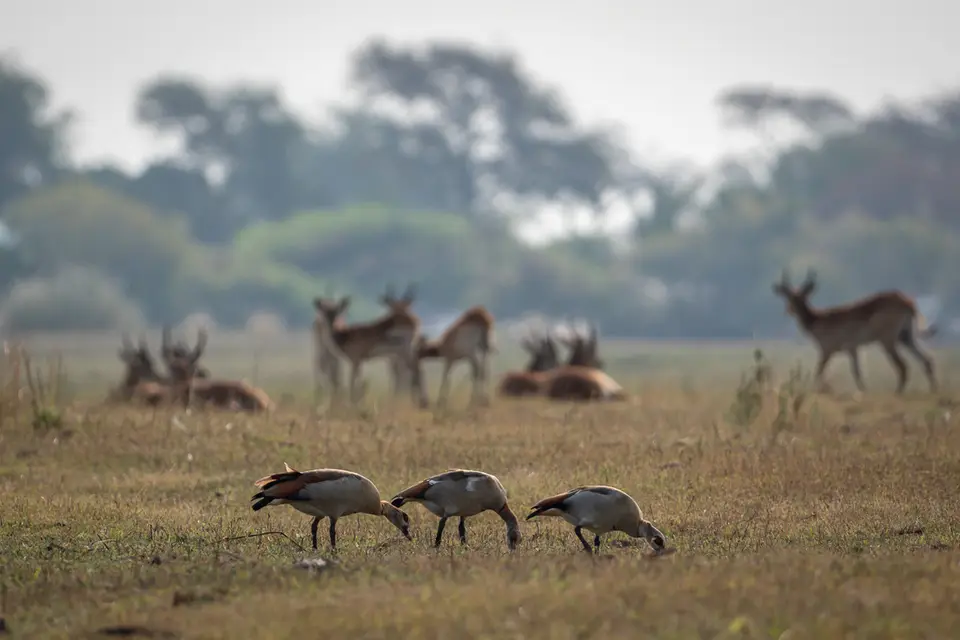 Botswana2019_0974_PA251892.jpg