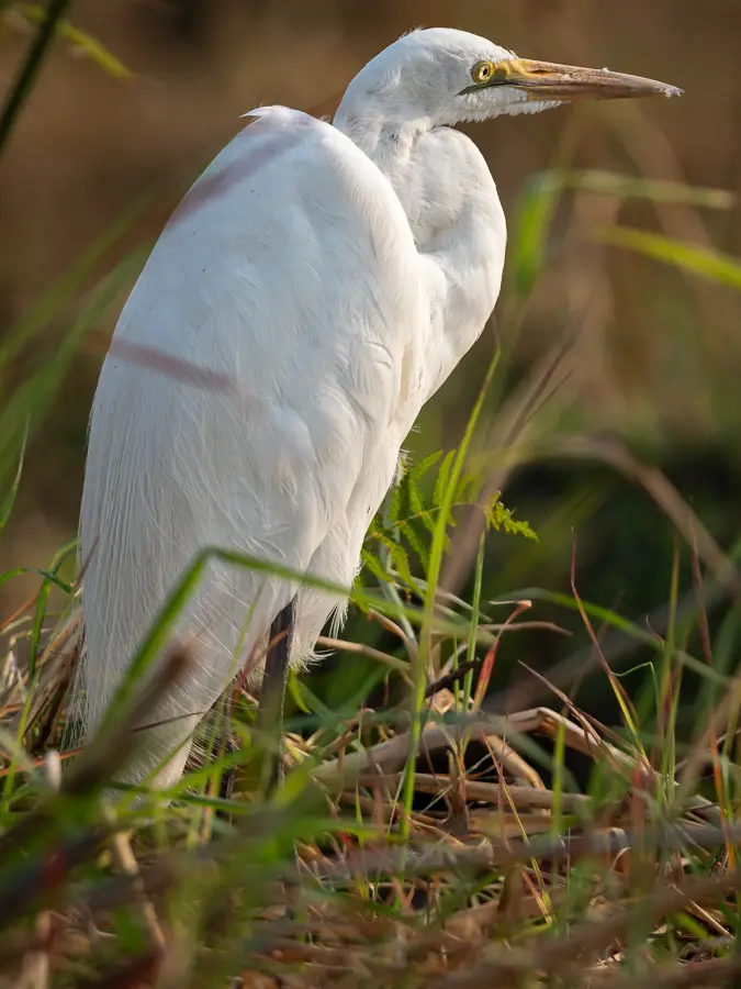 Botswana2019_0986_PA251944.jpg