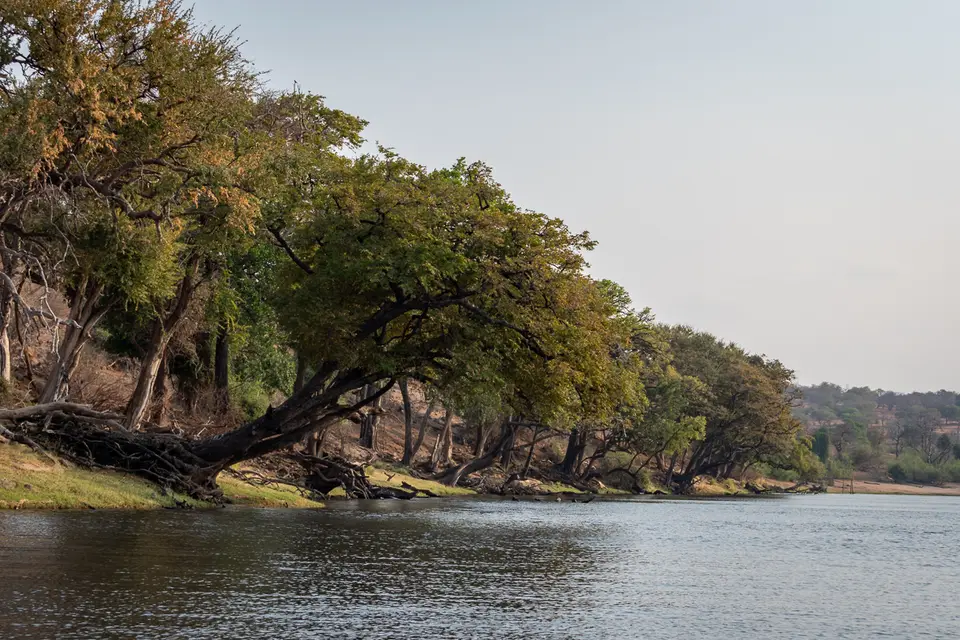 Botswana2019_0989_PB254604.jpg