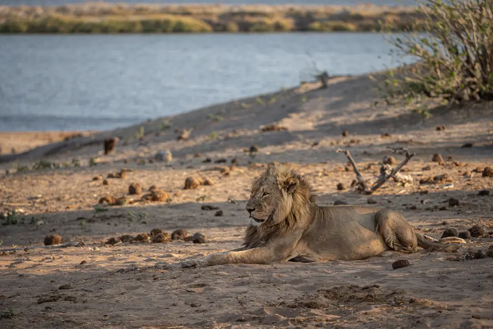 Botswana2019_1011_PB264746.jpg