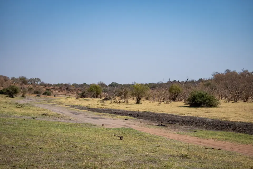 Botswana2019_1034_PB265328.jpg