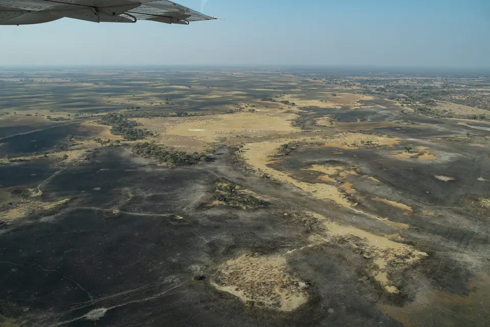 Botswana2019_1304_PA178784.jpg